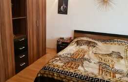 Apartament 1 camera, 42 mp, parcare, gradina spatioasa, zona strazii Vasile Parvan