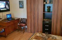 Apartament 1 camera, 42 mp, parcare, gradina spatioasa, zona strazii Vasile Parvan