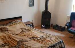 Apartament 1 camera, 42 mp, parcare, gradina spatioasa, zona strazii Vasile Parvan