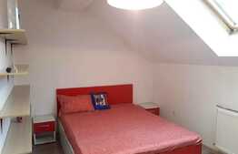 4 camere, 110 mp, mobilat modern, zona strazii Mircea Eliade! 