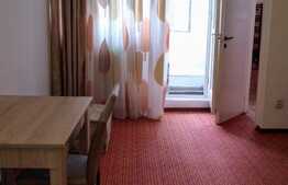 Garsoniera de inchiriat, 32 mp, decomandata, zona Aleea Detunata