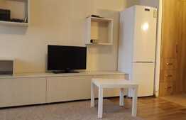 Garsoniera, 32 mp, decomandat, mobilata modern, zona strazii Parang