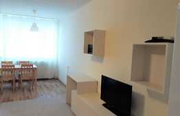 Garsoniera, 32 mp, decomandat, mobilata modern, zona strazii Parang