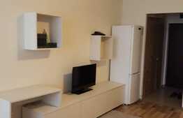 Garsoniera, 32 mp, decomandat, mobilata modern, zona strazii Parang