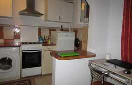 Garsoniera de inchiriat, cheltuieli mici, zona 21 Decembrie 1918