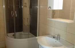 Apartament tip studio, cu nisa de dormit, 60 mp, mobilat modern, cheltuieli incluse, parcare optionala, zona Bulevardul Muncii 