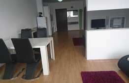 Apartament tip studio, cu nisa de dormit, 60 mp, mobilat modern, cheltuieli incluse, parcare optionala, zona Bulevardul Muncii