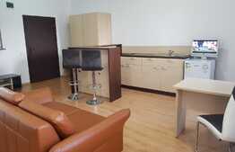 Garsoniera 40 mp, mobilata modern, imobil nou, cheltuieli incluse, zona Universitatii Tehnice 