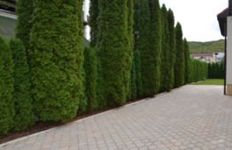 Casa de 500 mp utili cu 1100 mp de teren!