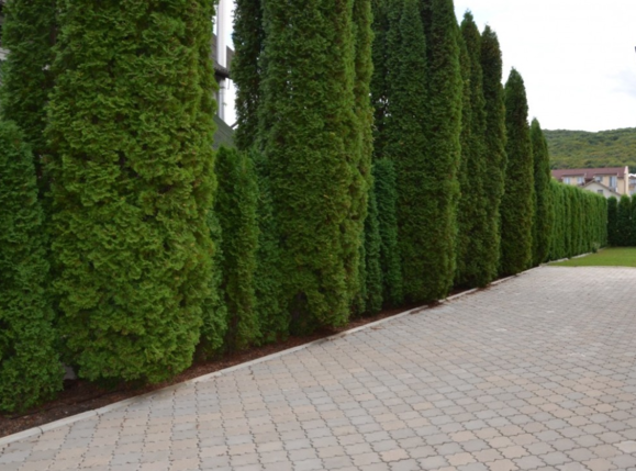 Casa de vânzare 10 camere Floreşti - 36374CV | BLITZ Cluj-Napoca | Poza16