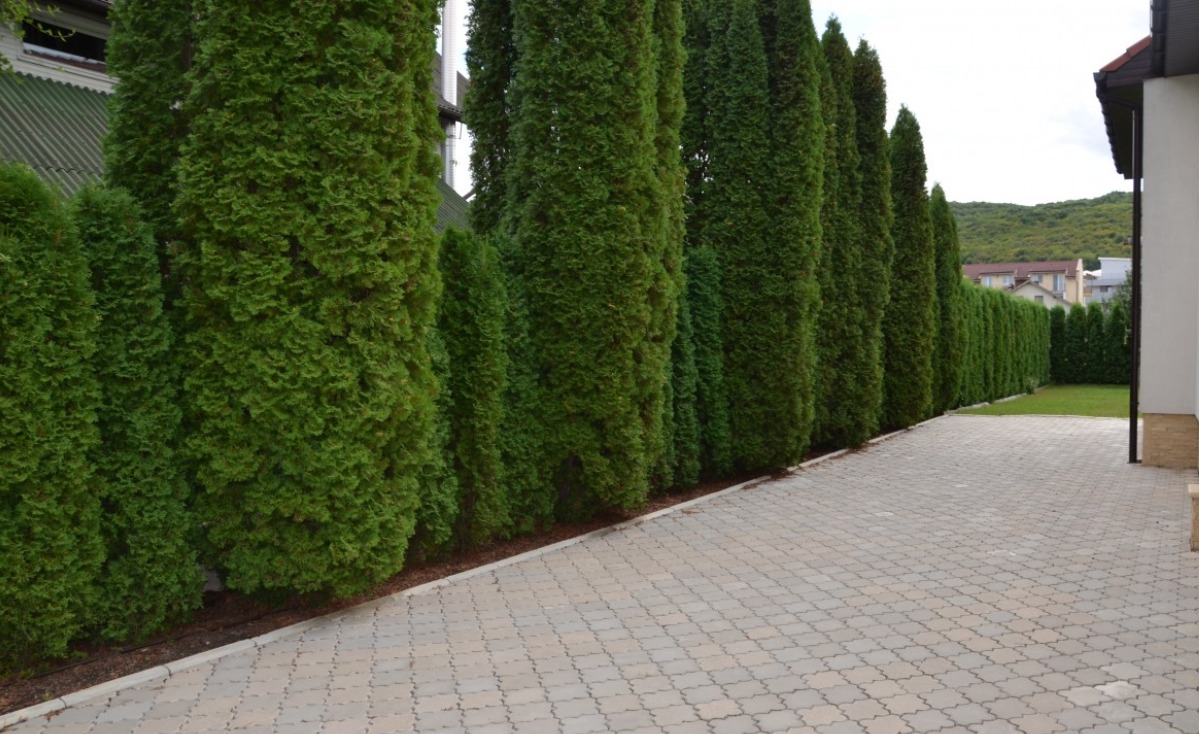 Casa de vânzare 10 camere Floreşti - 36374CV | BLITZ Cluj-Napoca | Poza16