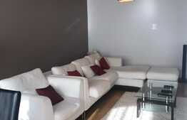 Apartament 3 camere, 140 mp, garaj, zona Nicolae Titulescu