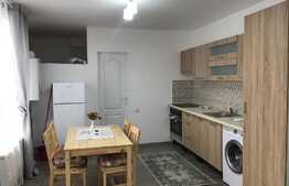 Apartament 2 camere, 45 mp, prima inchiriere, zona Ultracentrala!