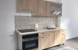 Apartament 2 camere, 45 mp, prima inchiriere, zona Ultracentrala!