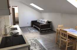 Apartament 2 camere, 45 mp, prima inchiriere, zona Ultracentrala!