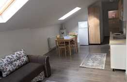 Apartament 2 camere, 45 mp, prima inchiriere, zona Ultracentrala!