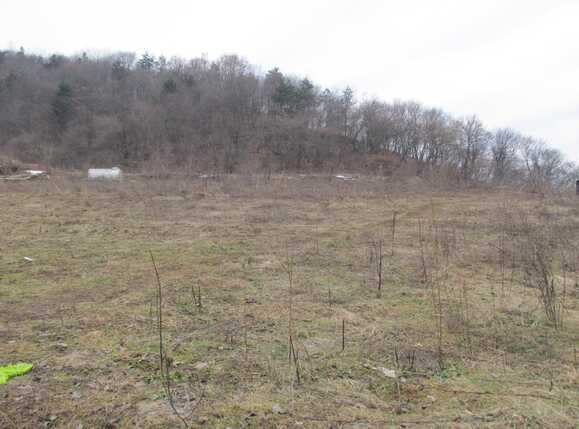 Teren de vânzare Floreşti - 36408TV | BLITZ Cluj-Napoca | Poza2