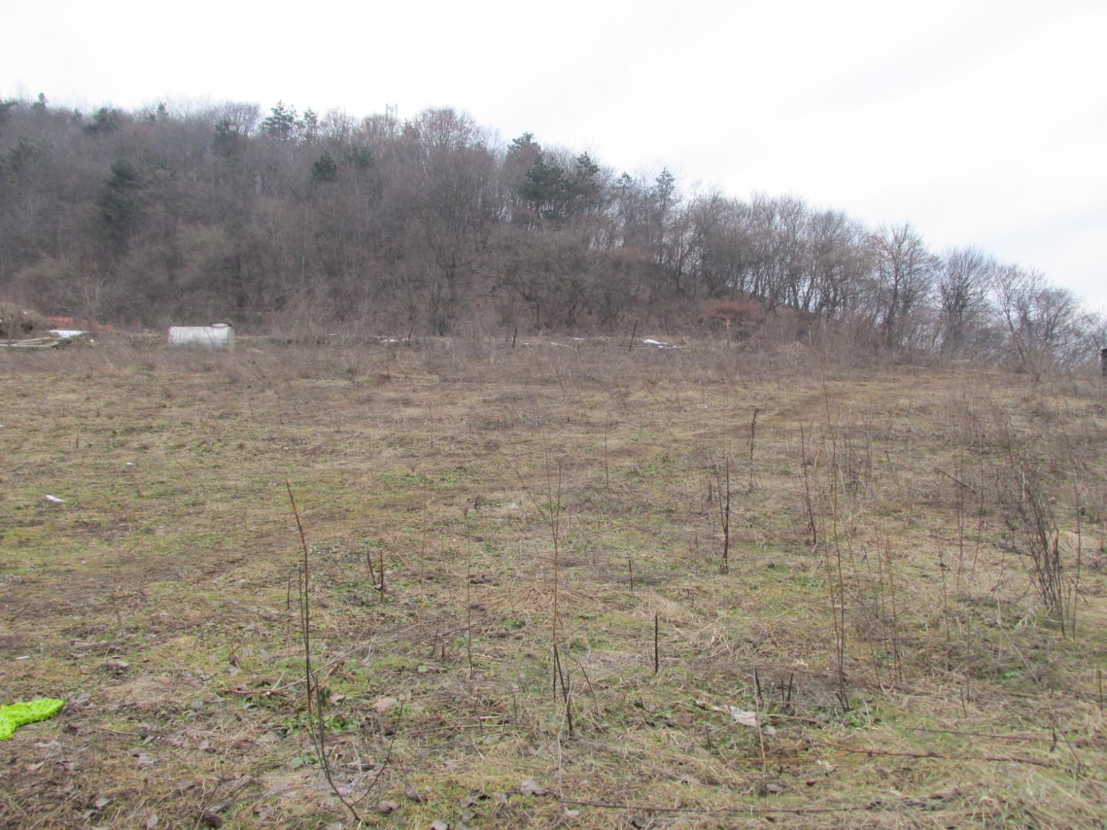 Teren de vânzare Floreşti - 36408TV | BLITZ Cluj-Napoca | Poza2