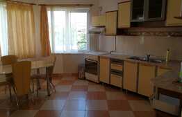 Oportunitate! Casa individuala ideala pentru sediu firma, 308 mp utili, teren 442 mp, front 12 m, zona Europa