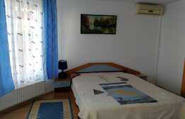 Oportunitate! Casa individuala ideala pentru sediu firma, 308 mp utili, teren 442 mp, front 12 m, zona Europa