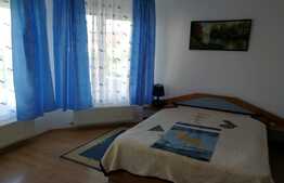 Oportunitate! Casa individuala ideala pentru sediu firma, 308 mp utili, teren 442 mp, front 12 m, zona Europa