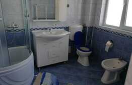 Oportunitate! Casa individuala ideala pentru sediu firma, 308 mp utili, teren 442 mp, front 12 m, zona Europa