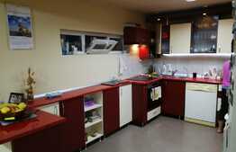 Oportunitate! Casa individuala ideala pentru sediu firma, 308 mp utili, teren 442 mp, front 12 m, zona Europa