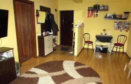 Apartament 2 camere, DECOMANDAT, 45 mp! Zona Stejarului!