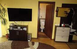 Apartament 2 camere, DECOMANDAT, 45 mp! Zona Stejarului!