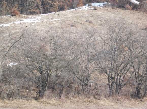 Teren de vânzare Floreşti - 36440TV | BLITZ Cluj-Napoca | Poza2