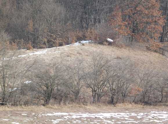 Teren de vânzare Floreşti - 36440TV | BLITZ Cluj-Napoca | Poza1