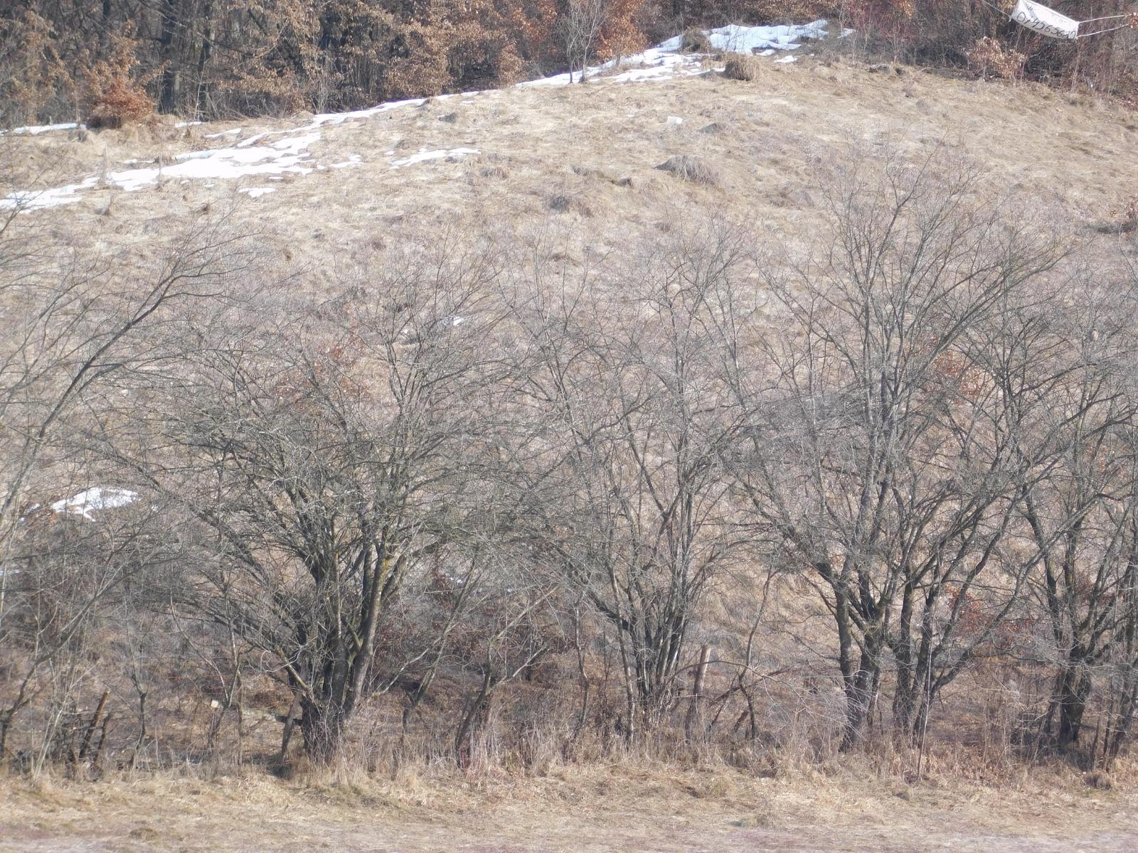 Teren de vânzare Floreşti - 36440TV | BLITZ Cluj-Napoca | Poza2