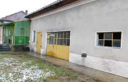 Casa de 100 mp, cu 1700 mp de teren!