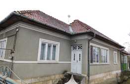 Casa de 100 mp, cu 1700 mp de teren!