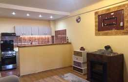 Apartament de vanzare, 2 camere, 49 mp, terasa 18 mp , Zona Porii ! 