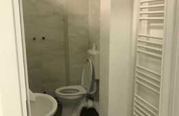 Spatiu comercial, ideal pentru investitie, zona Borhanci!