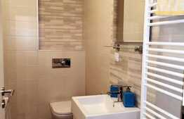 Apartament 2 camere, 55 mp, balcon, parcare, mobilat lux, zona Sophia Residence