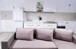 Apartament 2 camere, 58 mp, balcon, parcare, mobilat modern, zona Iulius Mall