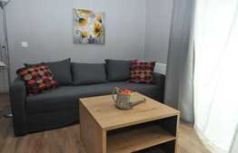 Apartament 1 camera, 38 mp, mobilat modern, A.C. imobil nou, Complex Park Lake