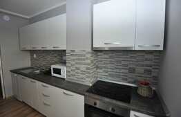 Apartament 1 camera, 38 mp, mobilat modern, A.C. imobil nou, Complex Park Lake