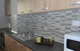 Apartament 1 camera, 38 mp, mobilat modern, A.C. imobil nou, Complex Park Lake