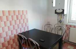 Apartament 2 camere, decomandat, 60 mp, parcare, Pet Friendly, zona Golden Tulip