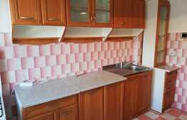 Apartament 2 camere, decomandat, 60 mp, parcare, Pet Friendly, zona Golden Tulip