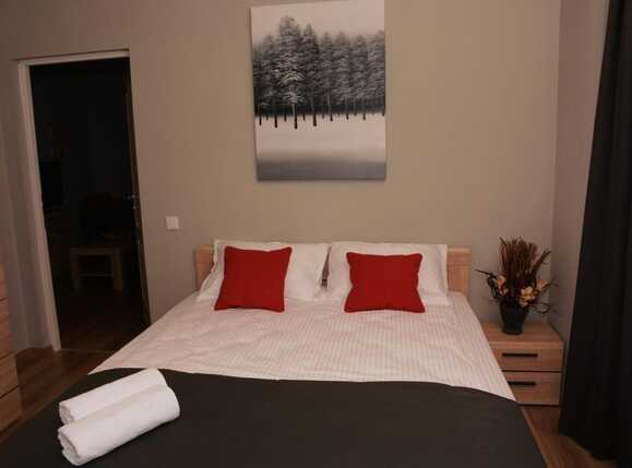 Apartament de închiriat 2 camere Central - 36478AI | BLITZ Cluj-Napoca | Poza1