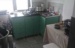 Apartament 2 camere, etaj intermediar, parcare, zona Hotel River Park