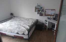 Apartament 2 camere, etaj intermediar, parcare, zona Hotel River Park