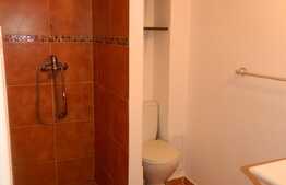 Garsoniera+mezanin, 30 mp, decomandat, zona strazii Bucuresti