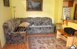 Apartament de vanzare cu 1 camera, 57 mp