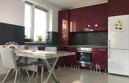 Casa 4 camere, 120 mp, terasa 60 mp, garaj, zona strazii Eugen Ionesco