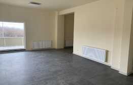 Spatiu comercial de vanzare, 61 mp, Borhanci!